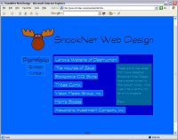 SnookNet Web Design